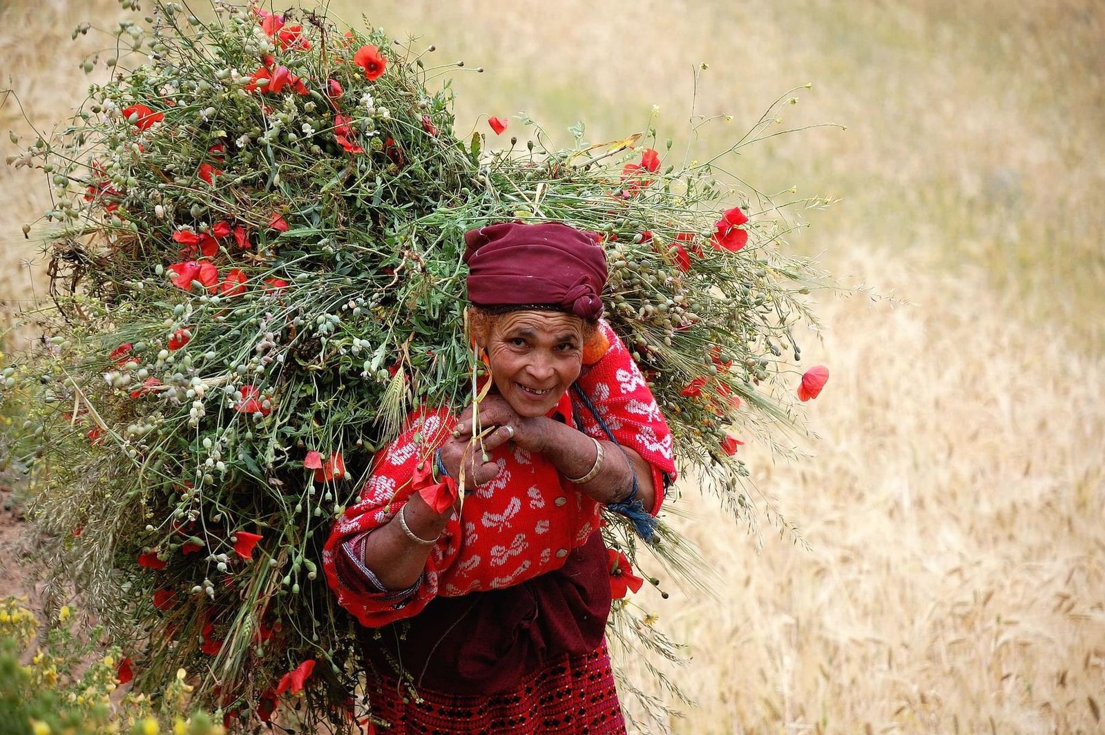 Morocco travel experience