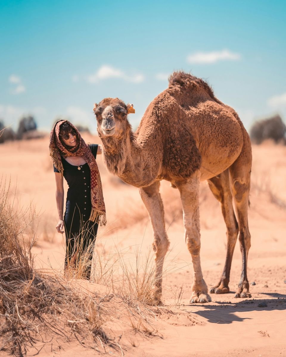 Itineraire Maroc 7 jours entre Marrakech et desert