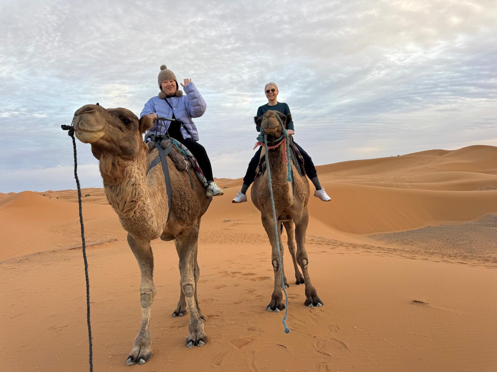Ait Ben Haddou and Ouarzazate Day Trip from Marrakech