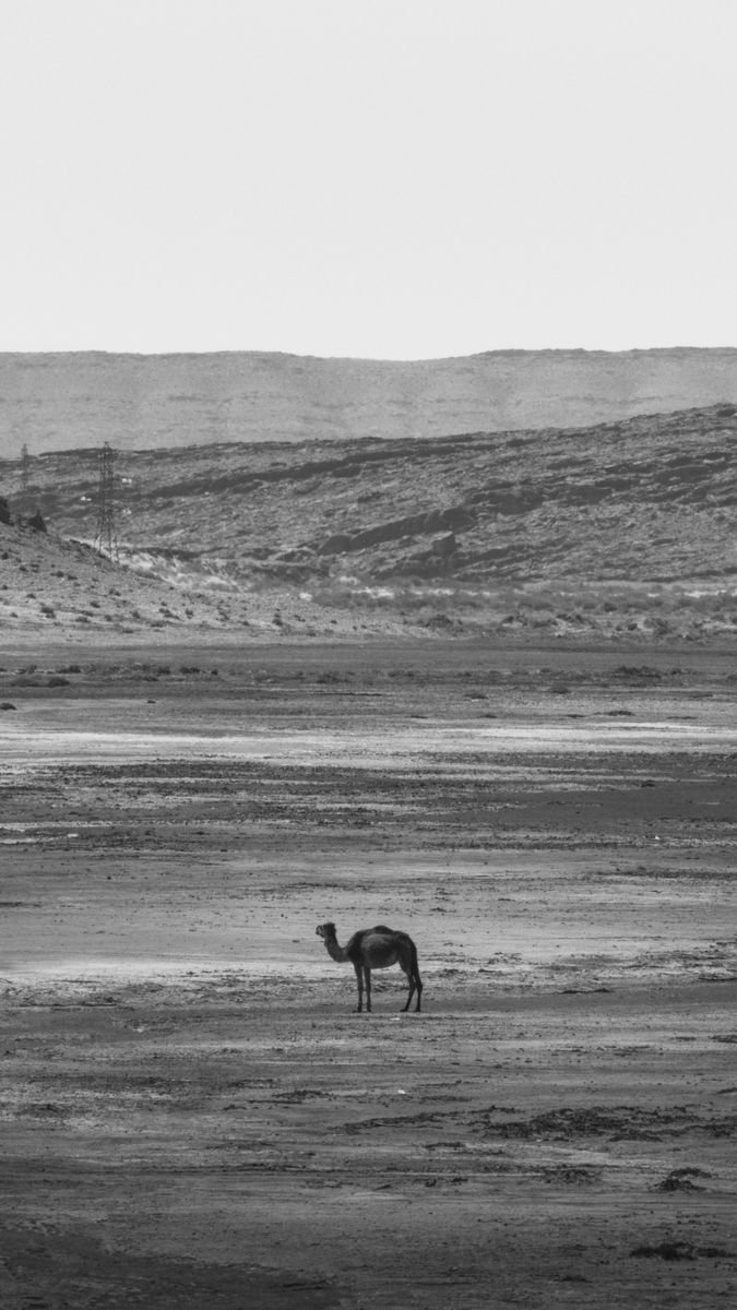 Morocco travel experience