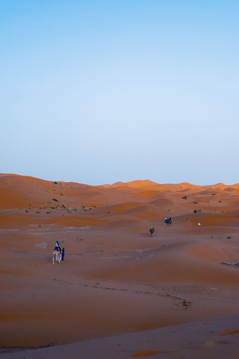 Marrakech Excursions for Cruise and Short-Stay Travelers