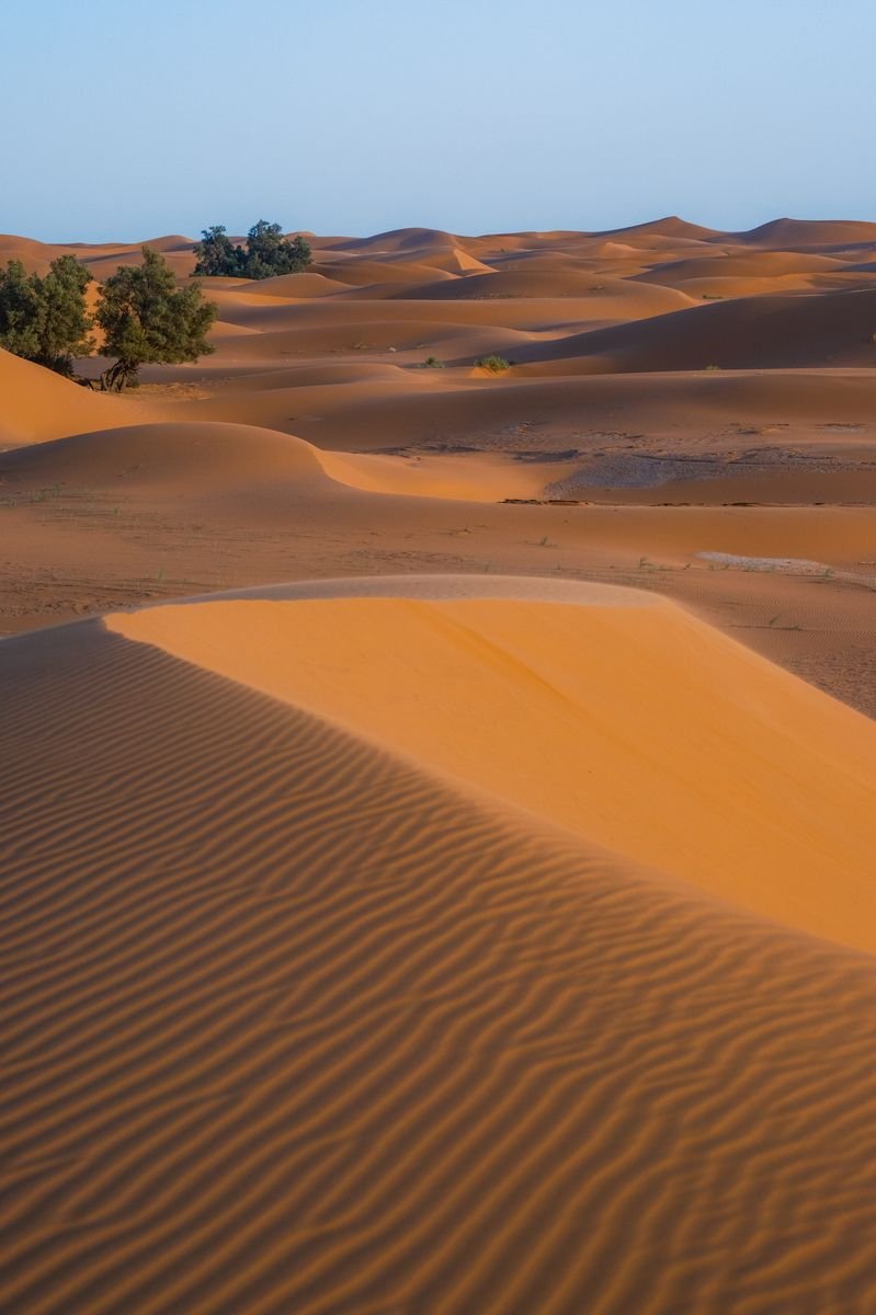 Morocco travel experience